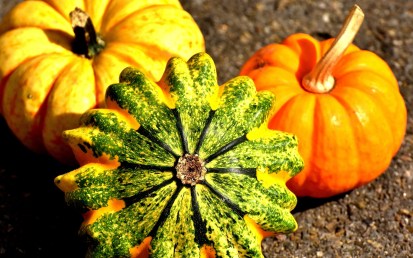 pumpkins-2204643_1920 (1)