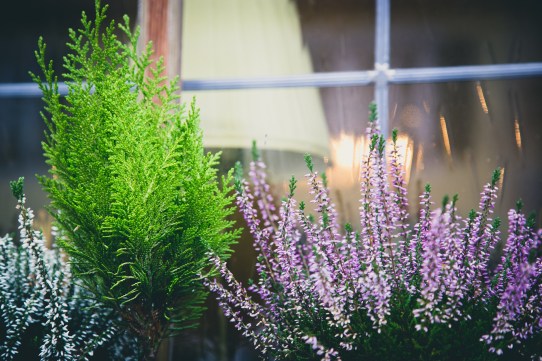 landscape-839712_1920