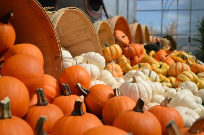 gourds-949112_1920.jpg