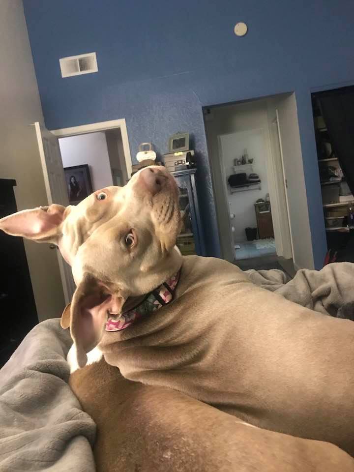 91931597_10163501930460596_3464662461695655936_n