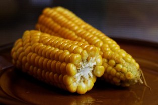 corn-on-the-cob-932857_1920